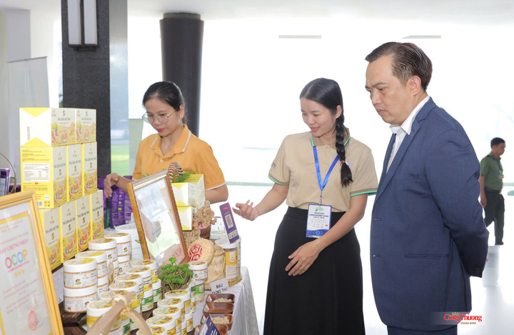 Đại biểu thăm quan các gian hàng trưng bày, giới thiệu sản phẩm tại vòng chung kết.