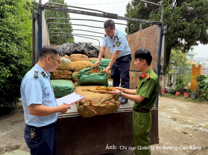 Lực lượng quản lý thị trường Cao Bằng phối hợp Đội Kiểm soát liên ngành 389 kiểm tra, phát hiện trên 1,2 tấn nguyên liệu thuốc lá không rõ nguồn gốc xuất xứ.