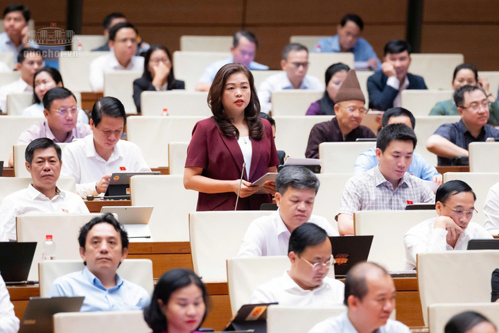 Đại biểu Đoàn Thị Lê An, Đoàn đại biểu Quốc hội tỉnh Cao Bằng.