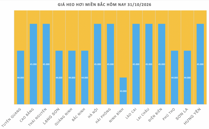 Giá heo hơi hôm nay 31/10/2026: Giảm cục bộ vài nơi - 1