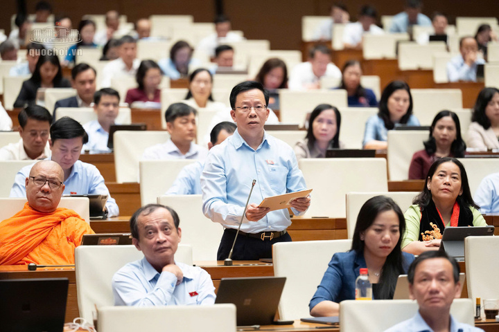 Đại biểu Lê Minh Nam, Đoàn Đại biểu Quốc hội TP. Cần Thơ.
