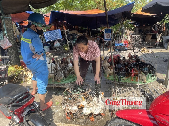 Khu vực kinh doanh gia cầm sống.
