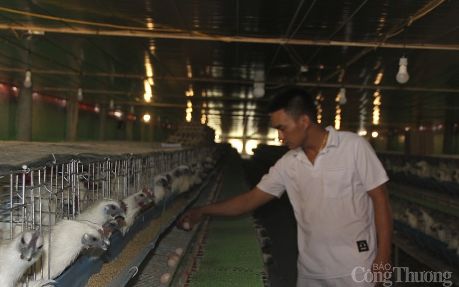 Nghệ An: Khởi nghiệp với... món nợ tiền tỷ Nghệ An: Khởi nghiệp với... món nợ tiền tỷ