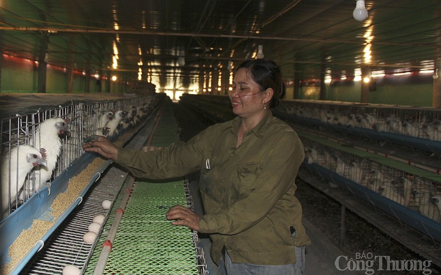 Nghệ An: Khởi nghiệp với... món nợ tiền tỷ Nghệ An: Khởi nghiệp với... món nợ tiền tỷ