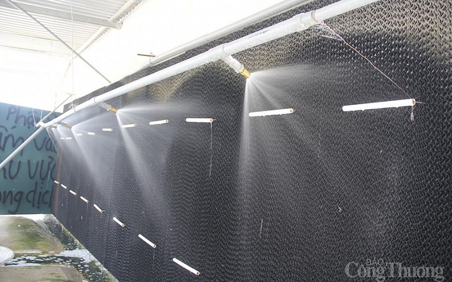 Nghệ An: Khởi nghiệp với... món nợ tiền tỷ Nghệ An: Khởi nghiệp với... món nợ tiền tỷ