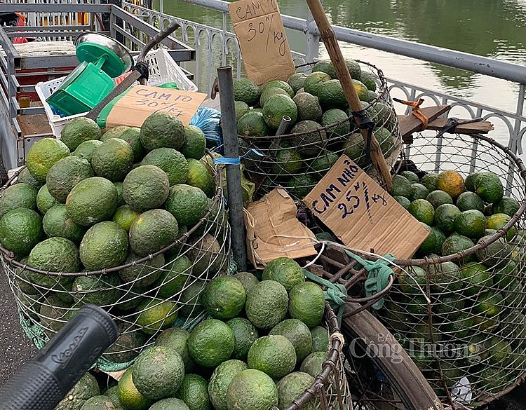 “Cuộc chiến” giữa trái cây trong nước và trái cây nhập khẩu “Cuộc chiến” giữa trái cây trong nước và trái cây nhập khẩu