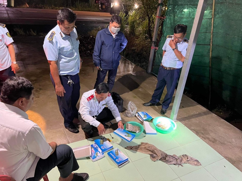 Cục Quản lý thị trường Bạc Liêu (QLTT) phát hiện một xe ô tô đang vận chuyển 3,5 tấn tôm sú ướp lạnh có chứa tạp chất. Cục Quản lý thị trường Bạc Liêu (QLTT) phát hiện một xe ô tô đang vận chuyển 3,5 tấn tôm sú ướp lạnh có chứa tạp chất.