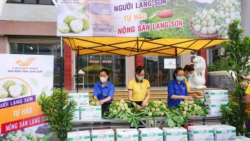 Thu nhập cao nhờ na Chi Lăng