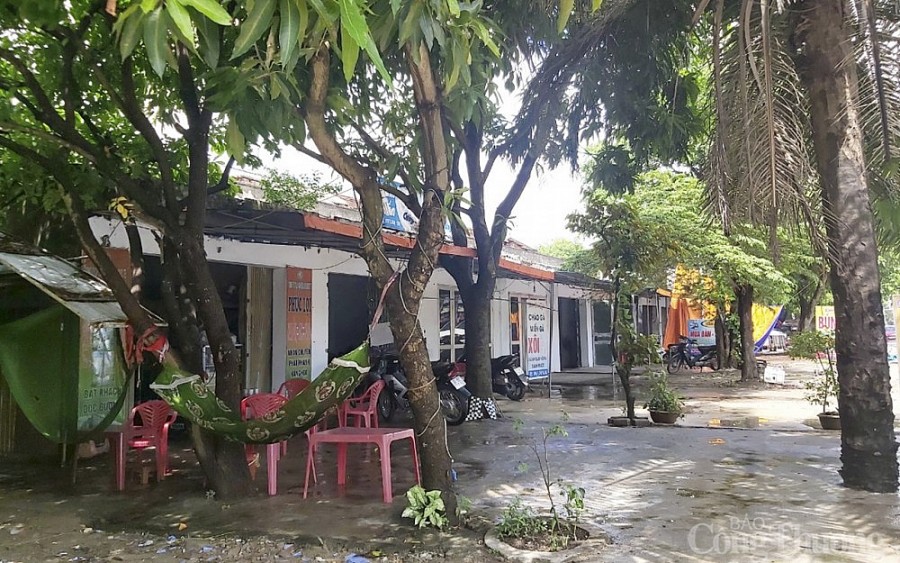 Giao đất cho doanh nghiệp: Biến đất công thành “đất ông” Giao đất cho doanh nghiệp: Biến đất công thành “đất ông”