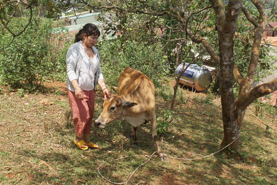 Tỉnh Đắk Nông phấn đấu “trở thành tỉnh trung bình khá vào năm 2025”