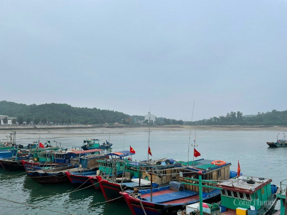 Tàu thuyền vào nơi tránh trú bão an toàn Tàu thuyền vào nơi tránh trú bão an toàn