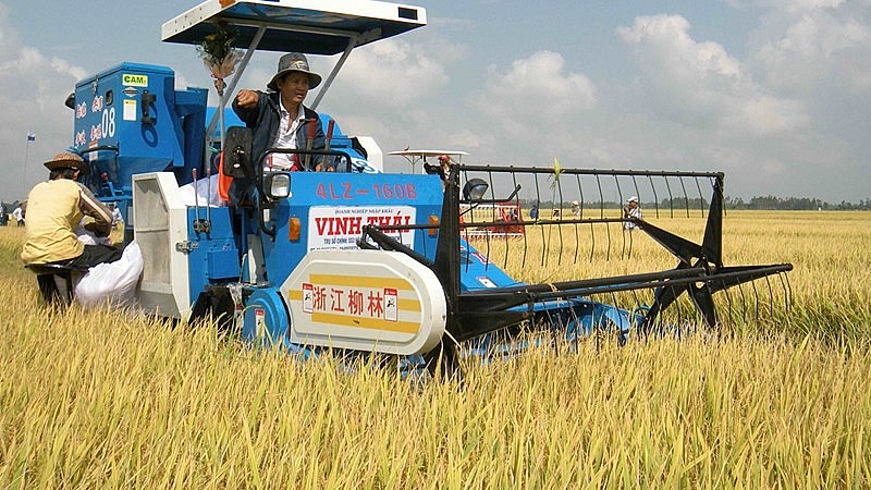 xuất khẩu gạo xuất khẩu gạo