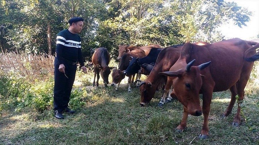 Những hủ tục lạc hậu trong đời sống đồng bào Mông ở Thanh Hóa dần được xóa bỏ Những hủ tục lạc hậu trong đời sống đồng bào Mông ở Thanh Hóa dần được xóa bỏ