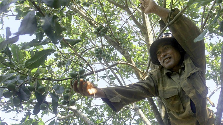 Bài 3 - Cần sớm sửa đổi chính sách trước khi… quá muộn Bài 3 - Cần sớm sửa đổi chính sách trước khi… quá muộn