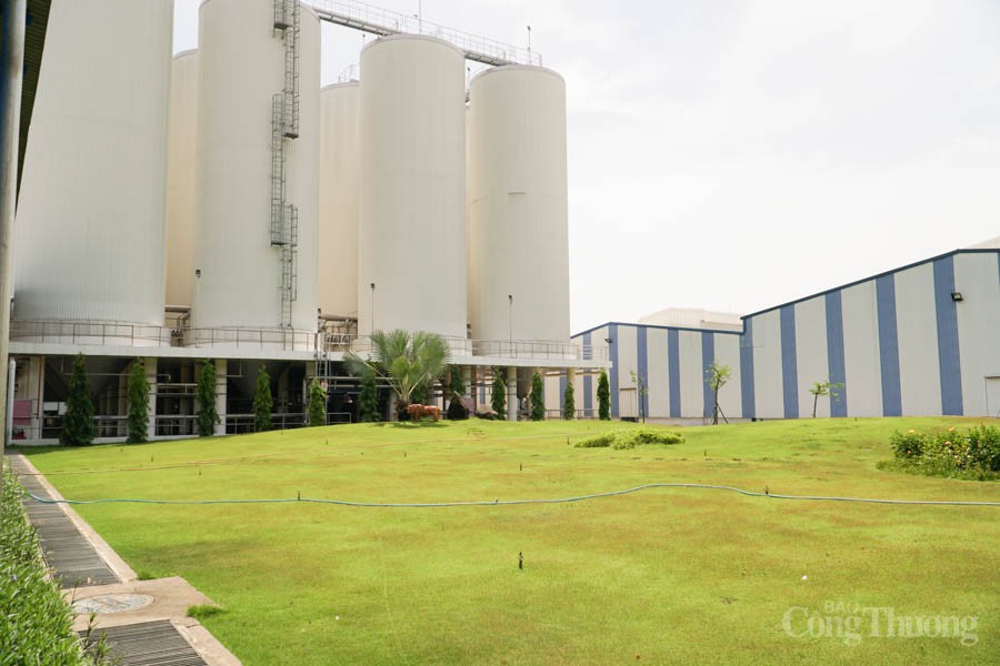 Công nghiệp Đà Nẵng hướng tới kinh tế tuần hoàn (Bài 1): Tiết kiệm năng lượng – trụ cột phát triển bền vững Công nghiệp Đà Nẵng hướng tới kinh tế tuần hoàn (Bài 1): Tiết kiệm năng lượng – trụ cột phát triển bền vững