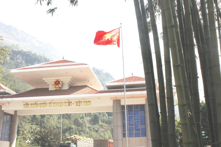 Những loài cây mang "dáng hình đất nước" Những loài cây mang "dáng hình đất nước"