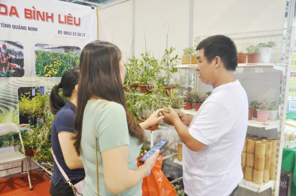 Hội chợ kỳ này có quy mô trên 250 gian hàng với trên 1.350 sản phẩm OCOP, sản phẩm đặc trưng, tiêu biểu của hơn 200 đơn vị, doanh nghiệp, hợp tác xã thuộc 42 tỉnh, thành phố trong nước. Hội chợ kỳ này có quy mô trên 250 gian hàng với trên 1.350 sản phẩm OCOP, sản phẩm đặc trưng, tiêu biểu của hơn 200 đơn vị, doanh nghiệp, hợp tác xã thuộc 42 tỉnh, thành phố trong nước.