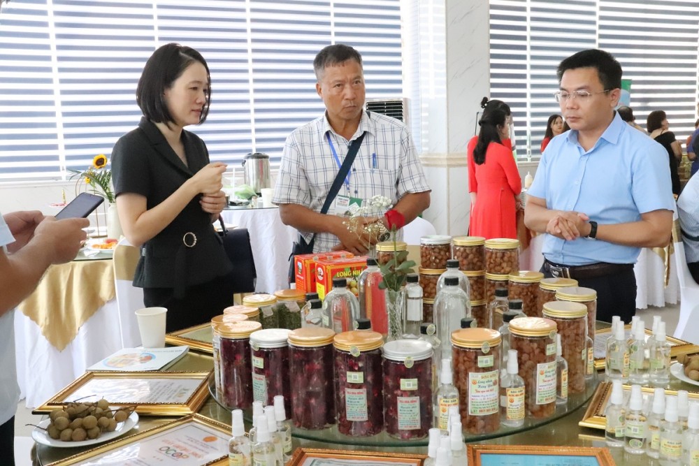 Quảng Ninh tổ chức kết nối tiêu thụ sản phẩm OCOP Quảng Ninh tổ chức kết nối tiêu thụ sản phẩm OCOP