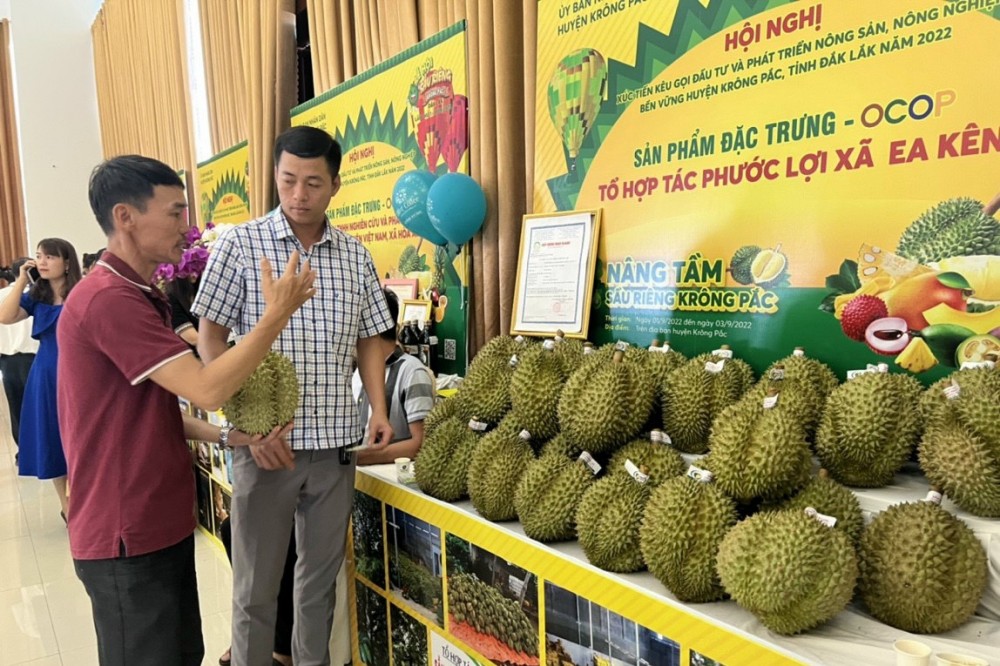 Đắk Lắk: Kết nối đầu tư phát triển nông nghiệp huyện Krông Pắk Đắk Lắk: Kết nối đầu tư phát triển nông nghiệp huyện Krông Pắk