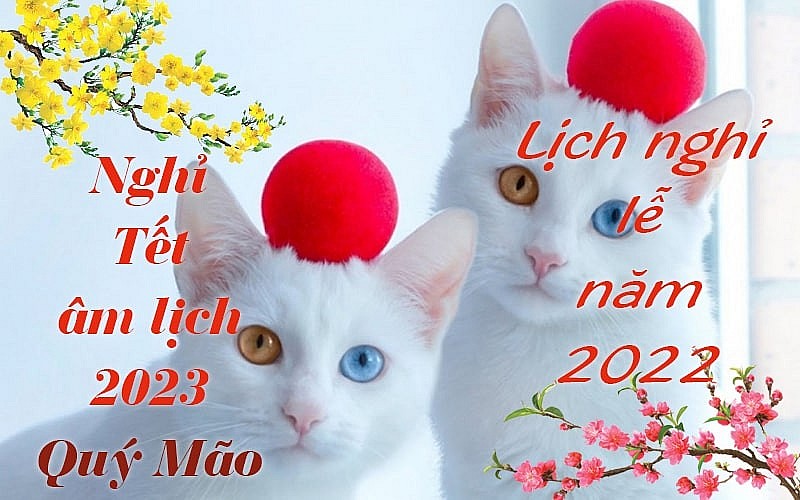 Bộ Nội vụ đồng ý với đề xuất Tết Nguyên đán 2023 được nghỉ 7 ngày Bộ Nội vụ đồng ý với đề xuất Tết Nguyên đán 2023 được nghỉ 7 ngày