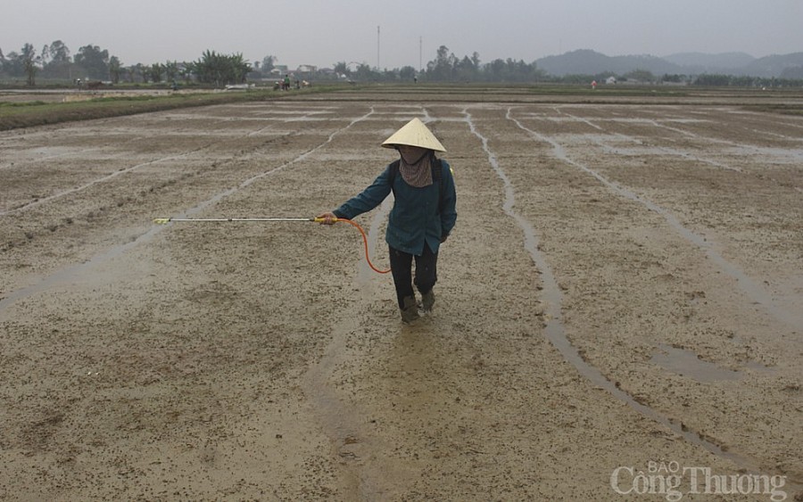 Nghệ An: Thiếu hơn 35.794 bể chứa bao bì, vỏ chai thuốc bảo vệ thực vật Nghệ An: Thiếu hơn 35.794 bể chứa bao bì, vỏ chai thuốc bảo vệ thực vật