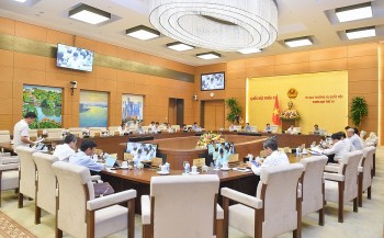 Không để xảy ra tình trạng “tham nhũng chính sách”, lồng ghép 