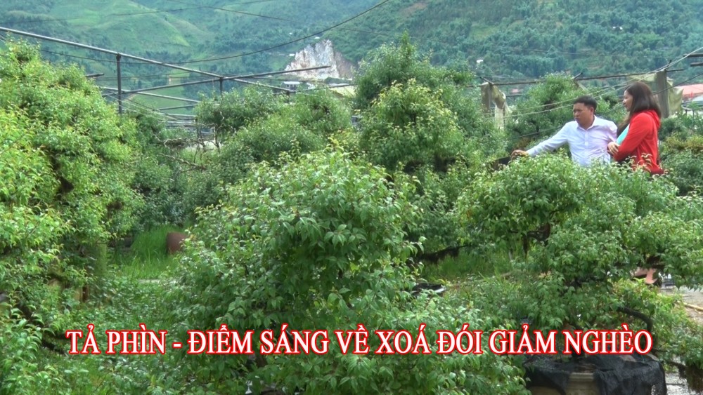 Tả Phìn - Điểm sáng về xoá đói giảm nghèo