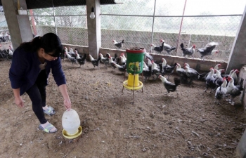 Quảng Ninh phấn đấu 100% người nghèo được tiếp cận nguồn vốn tín dụng chính sách