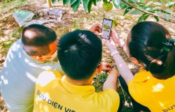 Đưa nông sản lên sàn thương mại điện tử, hỗ trợ người dân giải quyết đầu ra