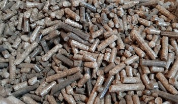 Việt Nam đứng thứ 2 thế giới về xuất khẩu viên nén gỗ