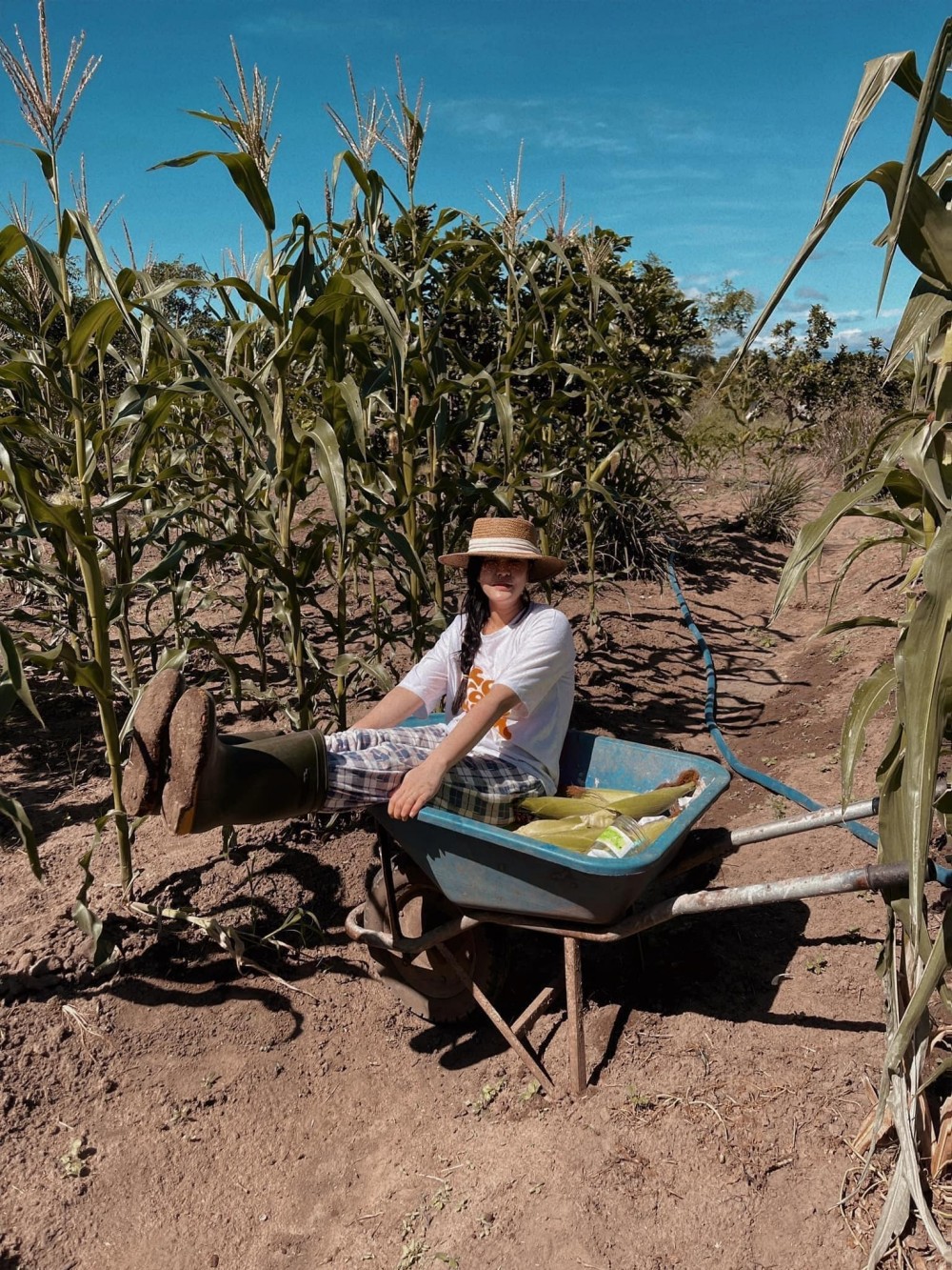 Nóng: Thêm 14 nạn nhân tố cáo Anna Bắc Giang, Tina Duong lừa đảo Nóng: Thêm 14 nạn nhân tố cáo Anna Bắc Giang, Tina Duong lừa đảo