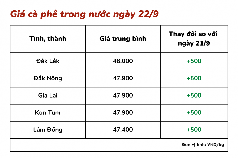 Giá cà phê hôm nay 22/9: Giá cà phê tăng 500 đồng/kg