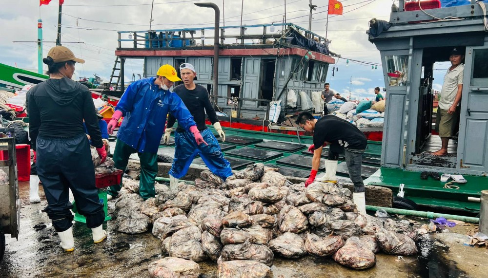 Người dân miền Trung khẩn trương chuẩn bị phòng chống bão số 4 (Noru)