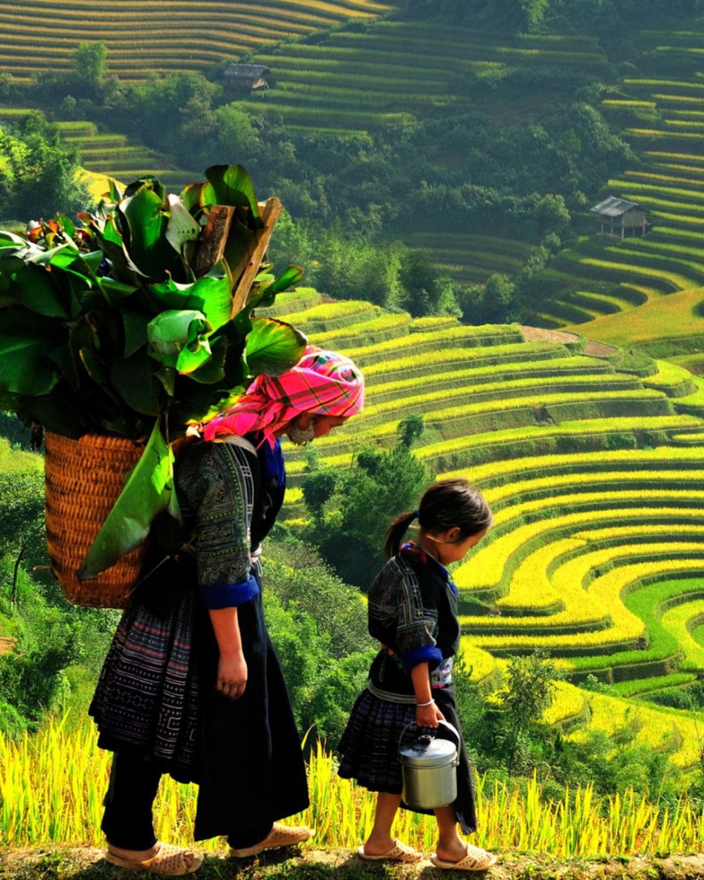 Hội nhập kinh tế quốc tế: Cơ hội thu hút đầu tư vào các tỉnh Trung du và miền núi phía Bắc Hội nhập kinh tế quốc tế: Cơ hội thu hút đầu tư vào các tỉnh Trung du và miền núi phía Bắc