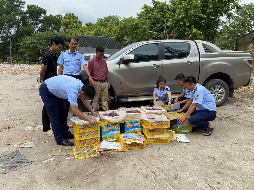 Vụ việc 205kg trái cây tươi các loại nhập lậu đã được phát hiện và xử lý Vụ việc 205kg trái cây tươi các loại nhập lậu đã được phát hiện và xử lý