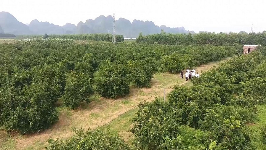 Hướng tới trở thành trung tâm nông nghiệp công nghệ cao