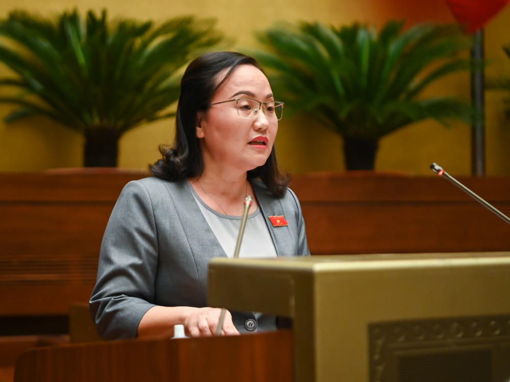 Phó Chủ nhiệm Ủy ban Tài chính – Ngân sách Phạm Thúy Chinh