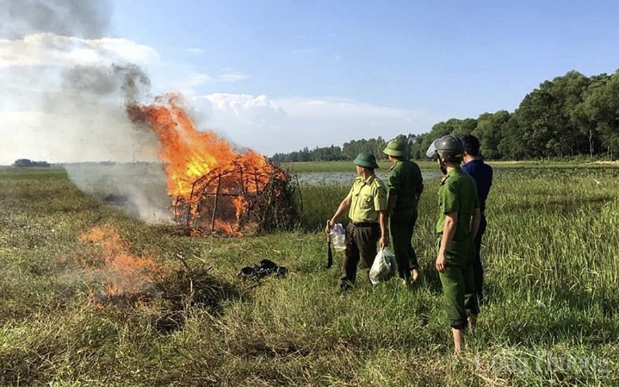 Phá hủy hàng nghìn cạm bẫy, giải cứu chim trời thoát nạn tận diệt Phá hủy hàng nghìn cạm bẫy, giải cứu chim trời thoát nạn tận diệt