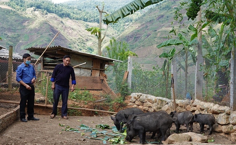 Yên Bái: Hiệu quả từ các chính sách giảm nghèo bền vững Yên Bái: Hiệu quả từ các chính sách giảm nghèo bền vững