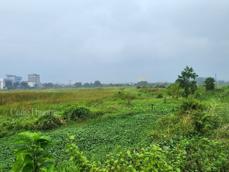 Thanh Hóa: Hủy kết quả 5 dự án sơ tuyển, lựa chọn lại nhà đầu tư mới