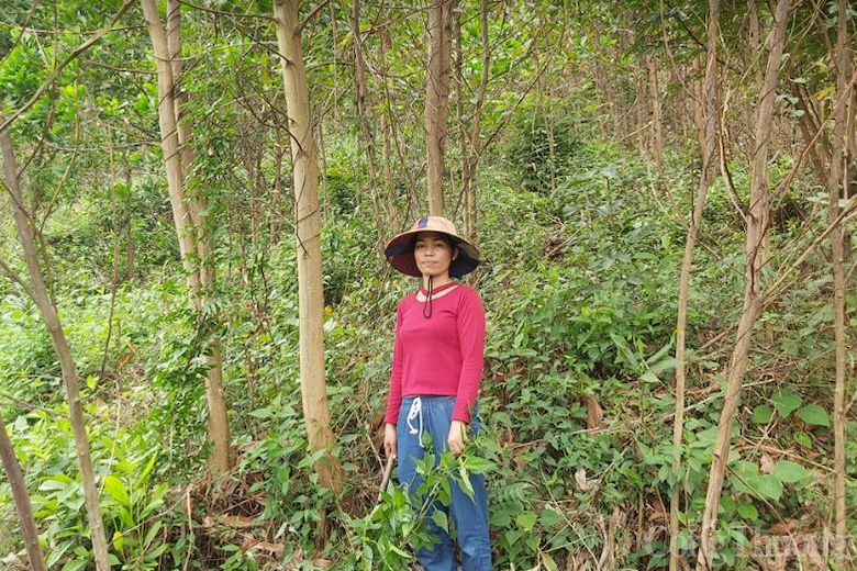 Đà Nẵng: Đồng bào Cơ tu quản lý rừng, bảo vệ rừng và làm giàu từ rừng Đà Nẵng: Đồng bào Cơ tu quản lý rừng, bảo vệ rừng và làm giàu từ rừng