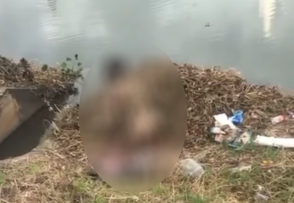 Đà Nẵng: Xót xa cảnh cô gái tự thiêu tại bờ hồ Bồ Đề Đà Nẵng: Xót xa cảnh cô gái tự thiêu tại bờ hồ Bồ Đề