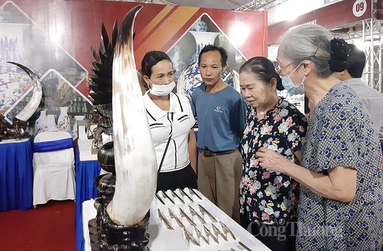 Người tiêu dùng tham quan, mua sắm sản phẩm Người tiêu dùng tham quan, mua sắm sản phẩm