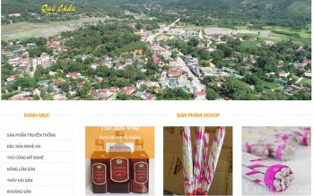 Tỉnh Nghệ An hỗ trợ doanh nghiệp chuyển đổi số để bứt phá