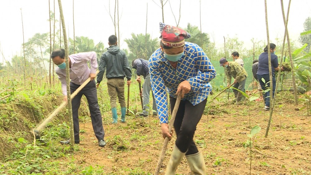 Huyện Quang Bình: Phát huy tiềm năng phát triển kinh tế Huyện Quang Bình: Phát huy tiềm năng phát triển kinh tế