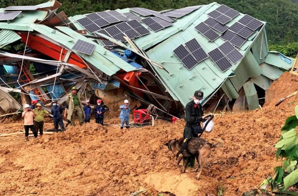 Quảng Ngãi: Dùng chó nghiệp vụ để tìm kiếm kỹ sư mất tích ở thủy điện Kà Tinh
