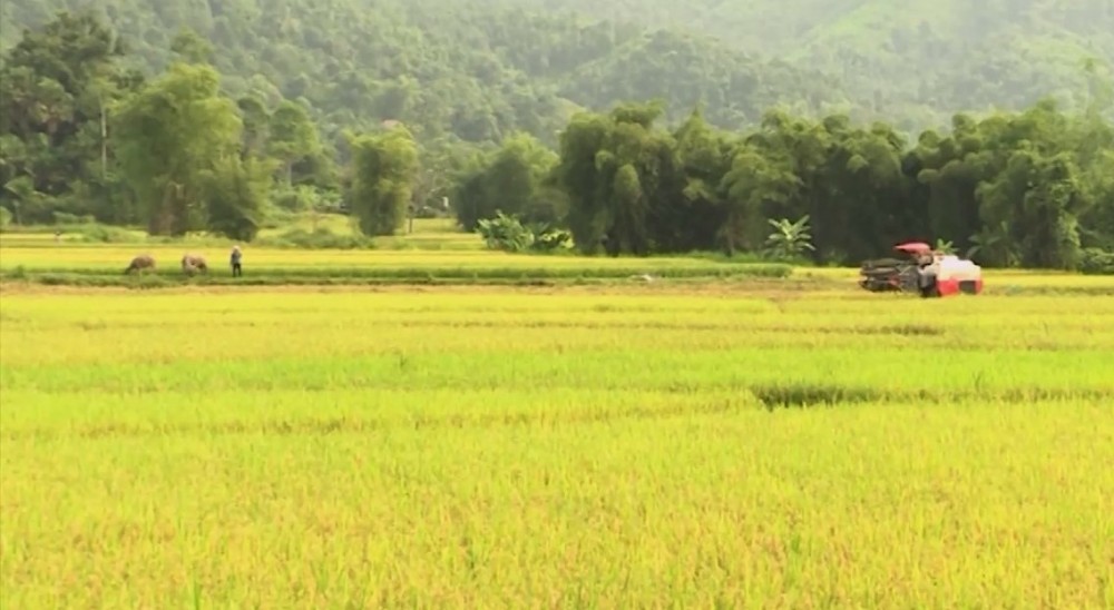 Bước chuyển biến trong phát triển kinh tế xã hội ở huyện Bắc Mê tỉnh Hà Giang Bước chuyển biến trong phát triển kinh tế xã hội ở huyện Bắc Mê tỉnh Hà Giang