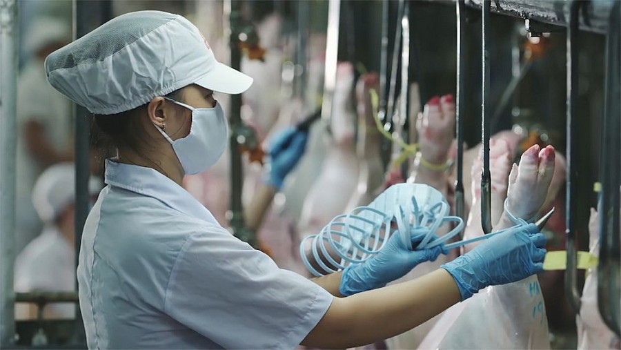 VISSAN: Khẳng định vị thế trên thị trường thực phẩm VISSAN: Khẳng định vị thế trên thị trường thực phẩm