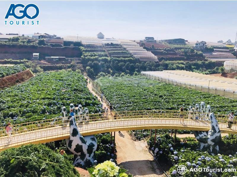 Đạo nhái công trình du lịch: Đừng để điểm đến là bản sao vô hồn Đạo nhái công trình du lịch: Đừng để điểm đến là bản sao vô hồn