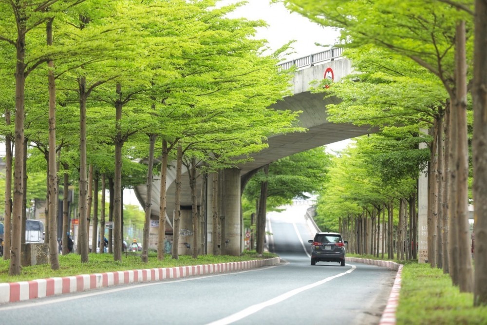 Hé lộ nguyên nhân Bộ Công an yêu cầu định giá cây xanh trồng ở Hà Nội từ năm 2016-2018 Hé lộ nguyên nhân Bộ Công an yêu cầu định giá cây xanh trồng ở Hà Nội từ năm 2016-2018